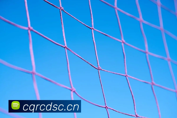 半岛在线官网平台生态图