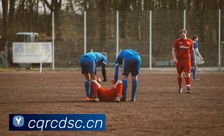 半岛在线官网全站App